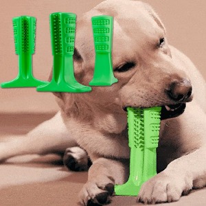리빙잇템 강아지 애견 셀프양치 토이 브러쉬 세계에서 가장 혁신적인 강아지 칫솔 치석제거 입냄새